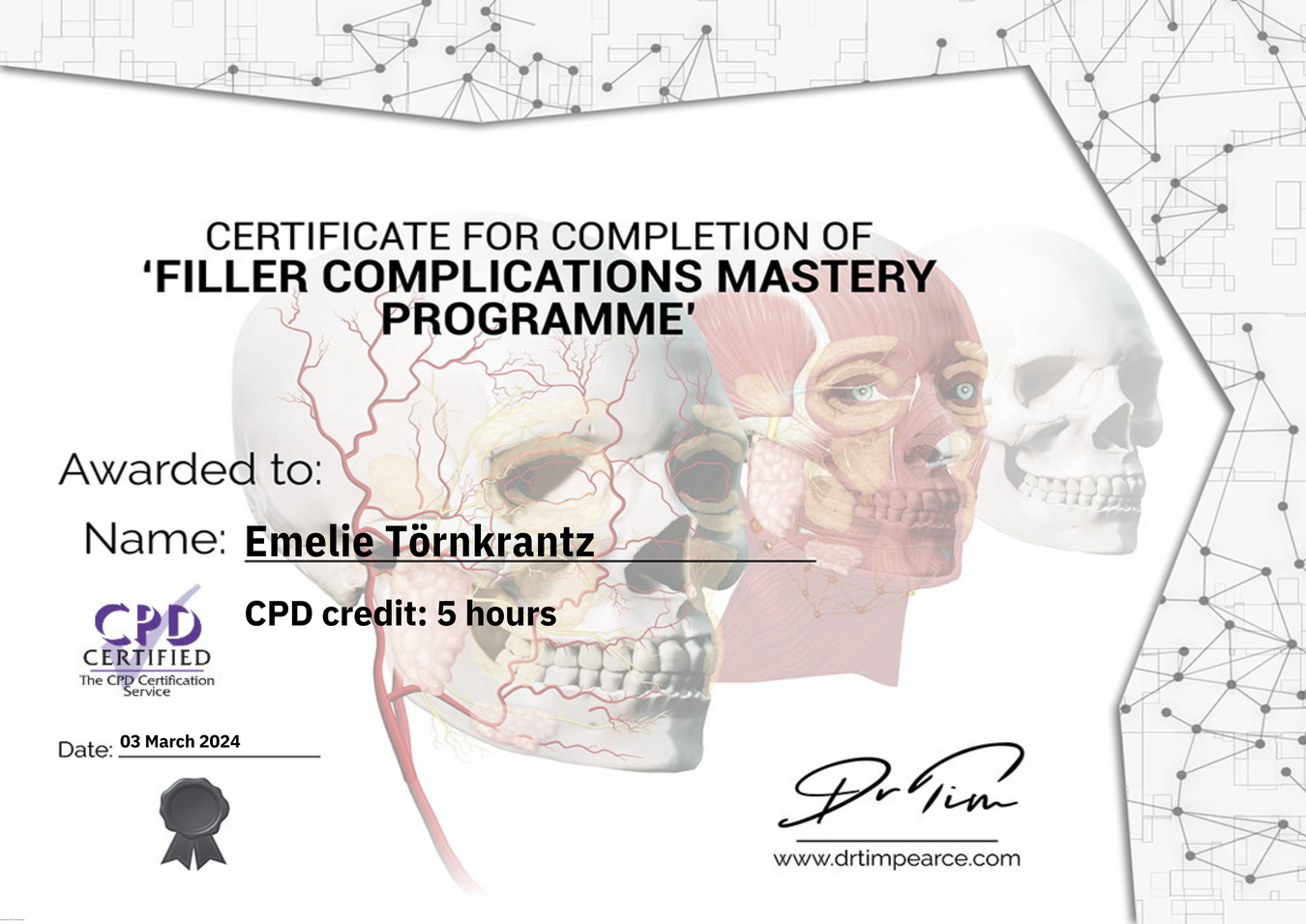 Certifikat "Filler complication mastery programme"